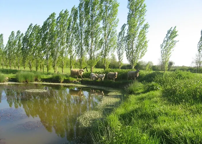 La Ferme De Magnantru Bed and Breakfast